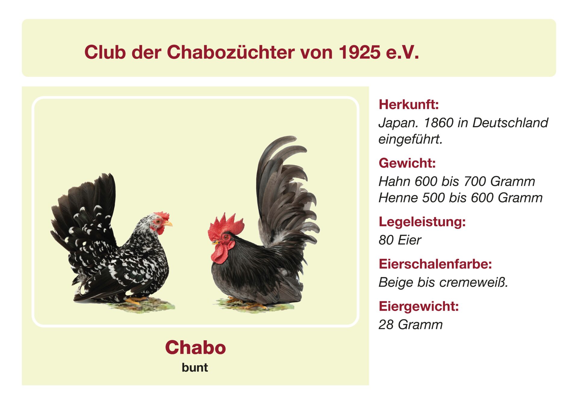 Chabo Rassetafel
